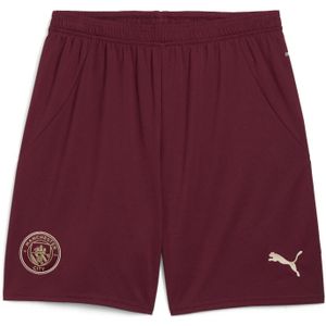 Korte Manchester City 2024/25