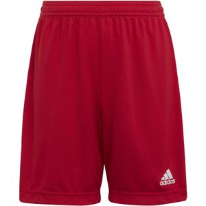 Kinder shorts adidas Entrada 22