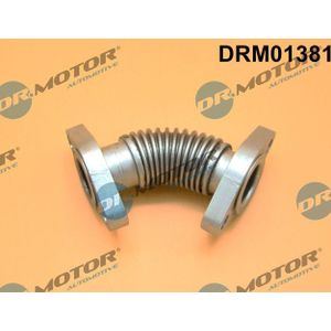 Leiding, AGR klep Dr.Motor Automotive DRM01381