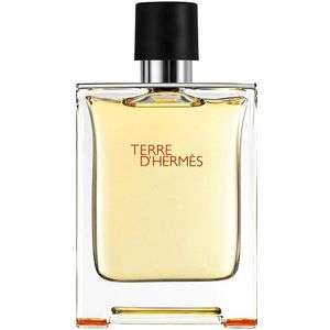 Hermès Terre D&apos;Hermes Pour Homme - 100 ML Eau de toilette Herren Parfum