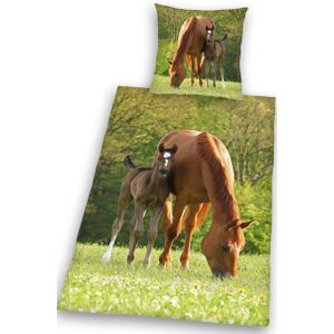 Pferd mit Fohlen Bettwäsche Größe 80x80 + 135x200 cm