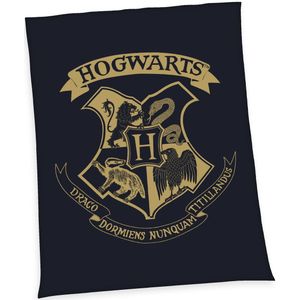 Harry Potter Wellsoft-Flauschdecke Größe 150x200 cm