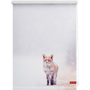 Rollo Klemmfix, ohne Bohren, blickdicht, Fuchs im Schnee - Weiß Rot, 120 cm x 150 cm (B x L)