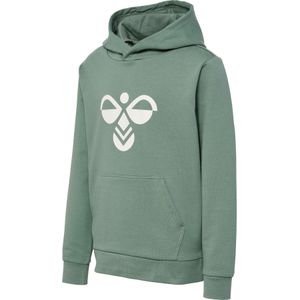 Kinder sweatshirt met capuchon Hummel Cuatro