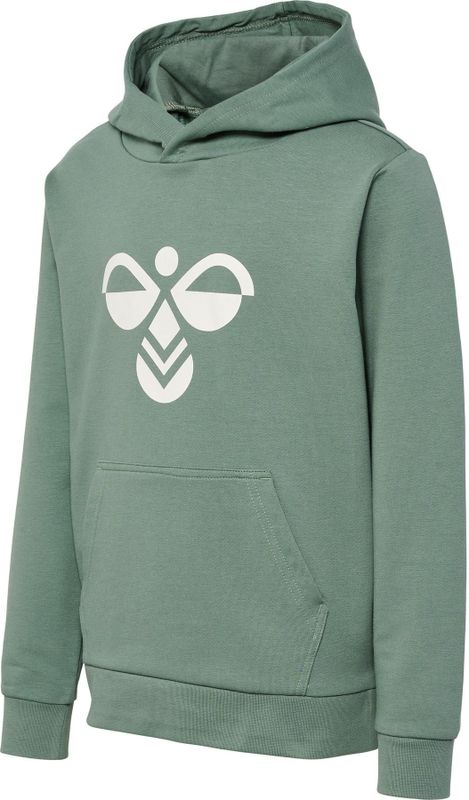 Kinder sweatshirt met capuchon Hummel Cuatro