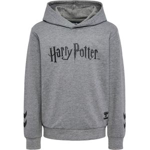 Junior Hoodie Hummel Harry Potter