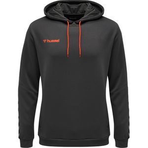 Hoodie Hummel hmlAUTHENTIC Poly