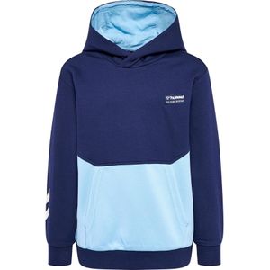 Junior Hoodie Hummel Eddy
