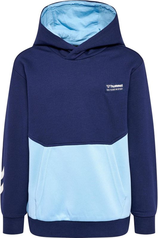 Junior Hoodie Hummel Eddy