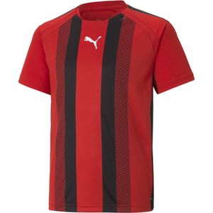 Kinder Sportshirt Puma Team Liga Striped