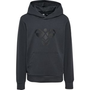 Kinder sweatshirt Hummel hmlCUATRO