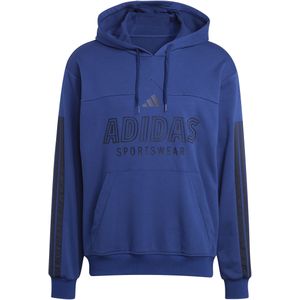 Hoodie adidas House Of Tiro