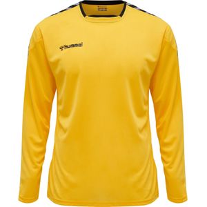 Jersey Hummel manches longues hmlAUTHENTIC Poly