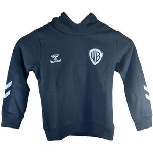 Hummel - Celebrating Story - Hoodie - Groen - Gerecycled Polyester