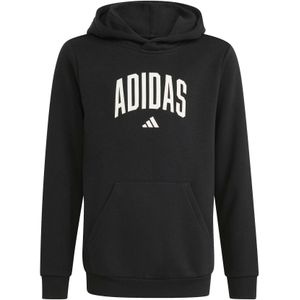 Junior Hoodie adidas Codes Collegiate Graphic