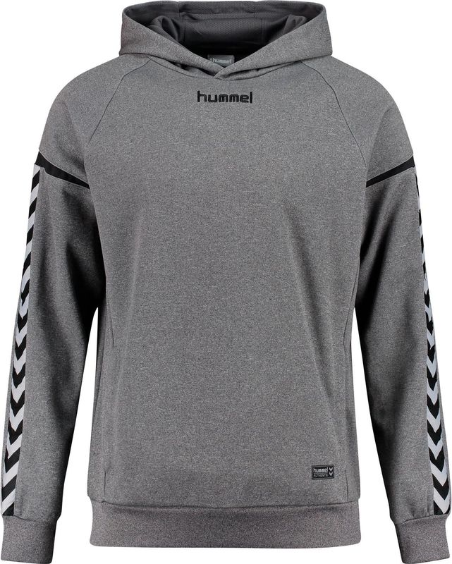 Sweater met capuchon voor kinderen Hummel auth charge poly