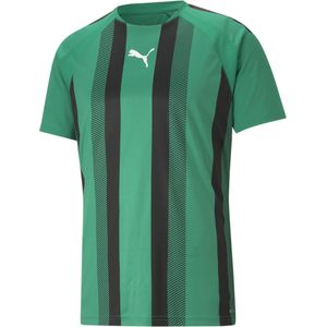 Koszulka Puma Team Liga Striped