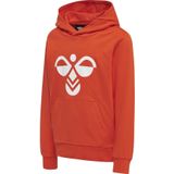 Sweater met capuchon voor kinderen Hummel Cuatro