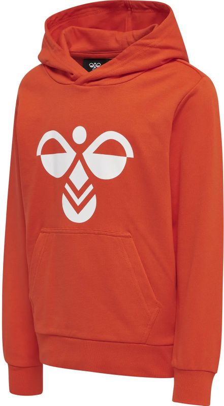 Sweater met capuchon voor kinderen Hummel Cuatro
