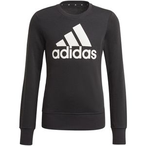 Kinder sweatshirt adidas Essentials Big Logo