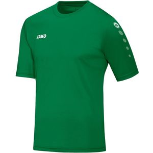 Maillot Jako Team