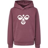 Junior Hoodie Hummel Cuatro