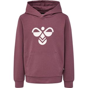 Junior Hoodie Hummel Cuatro