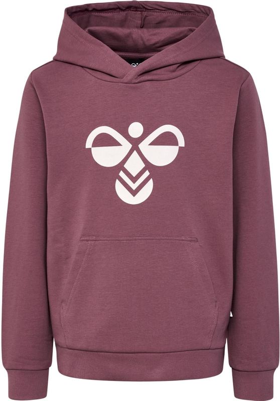Junior Hoodie Hummel Cuatro
