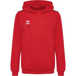 Hummel - Authentic Pl Hoodie - Polyester - Kids