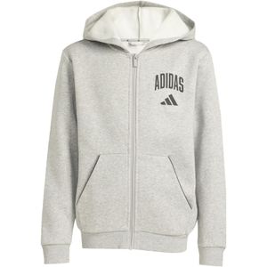 Junior Hoodie adidas Collegiate Typography