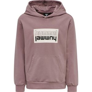 Hummel - hmlDUO - Sweatshirt - Met Capuchon