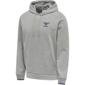 Hummel - IC Dayton - Hoodie - 100% Katoen