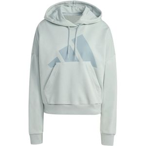 Ruimvallende damescapuchon adidas Essentials Big Logo