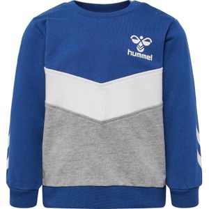 Sweatshirt baby Hummel hmlSkye