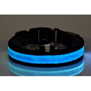 LED Hondenhalsband - Blauw