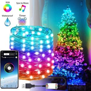 Kerstboomverlichting Slim 2 Meter - USB - RGB 16 Miljoen Kleuren