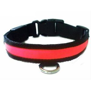 LED Hondenhalsband - Rood