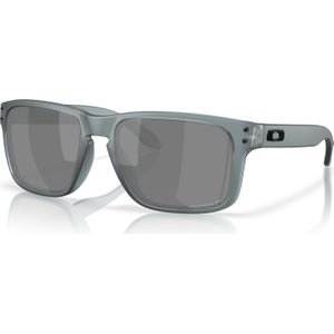 Oakley Herren Holbrook™ Sonnenbrillen
