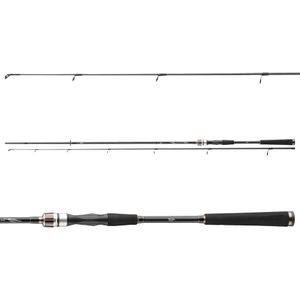Daiwa Exceler Spin 2,70m 20-60g Spinnrute