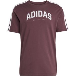 T-Shirt adidas Codes Collegiate Linear Graphic
