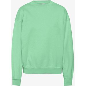 Sweatshirt mit Rundhalsausschnitt Colorful Standard Organic oversized faded mint