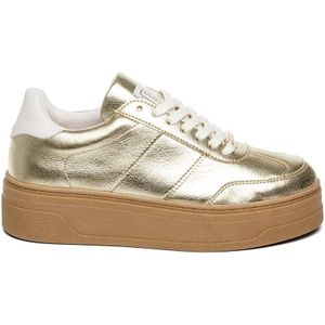 Sneakers Steve Madden Moxy