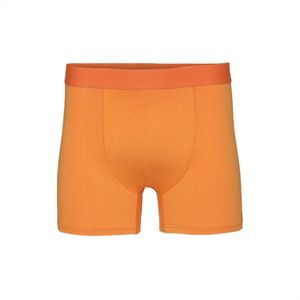 Boxer Colorful Standard Classic Organic sunny orange