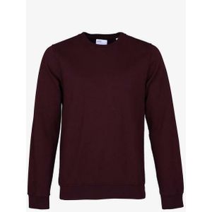 Sweatshirt Colorful Standard classic organic crew
