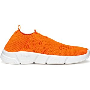 Sneakers Geox Aril A