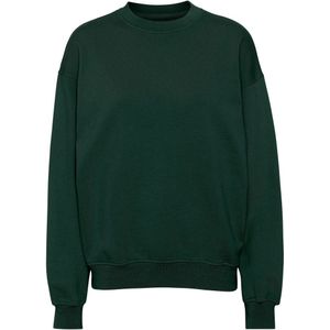 Sweatshirt mit Rundhalsausschnitt Colorful Standard Organic oversized hunter green