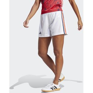 France Handball Shorts