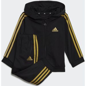 Essentials Shiny Hooded Track Suit