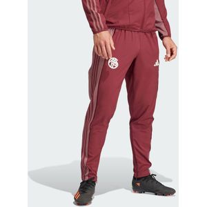 FC Bayern Anthem Pants