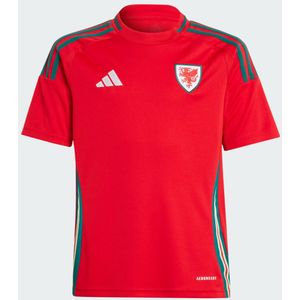 Wales 24 Away Jersey Kids